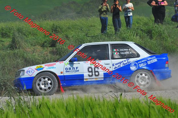 DSC_1295.JPG